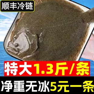 多宝鱼特大比目鱼鲜活速冻八宝鱼偏口鱼鸦片鱼鲽鱼深海鱼海鲜水产