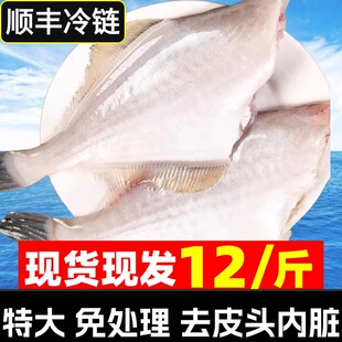 耗儿鱼马面鱼新鲜冷冻扒皮鱼特大老鼠鱼火锅食材玻璃鱼商用海鲜