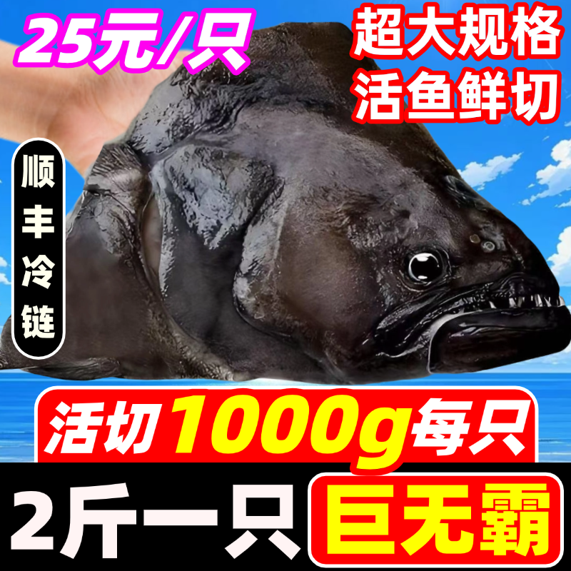 鲽鱼头新鲜碟鱼头比目鱼头特大深海剁椒雅片鸦片鱼头商用海鲜水产,水产肉类/新鲜蔬果/熟食,鲽鱼,淘宝优惠券,粉丝福利购,淘宝优惠卷