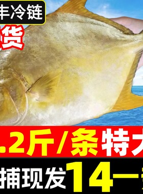 金鲳鱼特大鲳鱼鲜活新鲜冷冻海鱼湛江大金昌鱼平鱼银鱼鲳鳊鱼顺丰