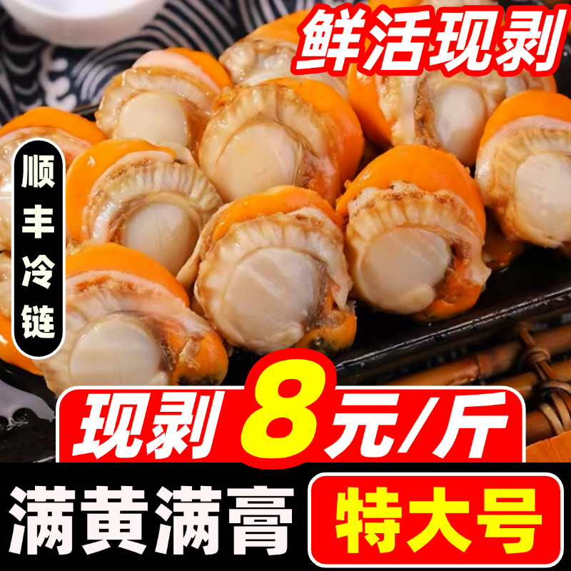 新鲜扇贝肉超大带黄带膏去壳无沙特大商用鲜活冷冻红扇贝海鲜水产