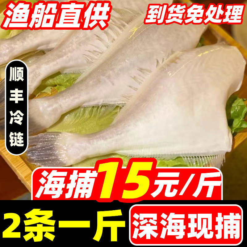 耗儿鱼马面鱼新鲜冷冻扒皮鱼特大老鼠鱼玻璃鱼商用海鲜火锅食材