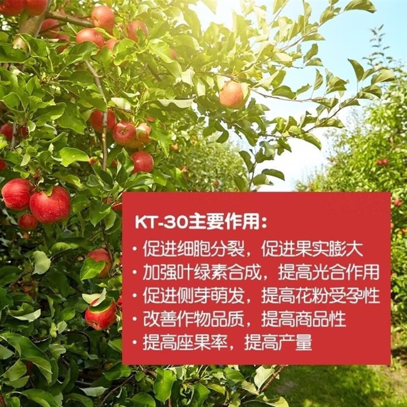 膨果龙枇杷膨大剂樱桃膨大剂柑橘膨大剂葡萄膨大甜瓜吡效隆氯比脲