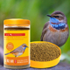 蓝靛颏鸟食鸟饲料靛颏鸟鸟食鸫科小型观赏鸟鸟粮高蛋白促消化细颗