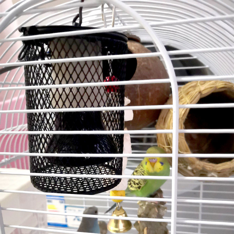 玄凤鹦鹉保温灯保暖加热鸟窝保温陶瓷灯鹦鹉取暖器恒温陶瓷加热灯,宠物/宠物食品及用品,鸟禽其他,淘宝优惠券,粉丝福利购,淘宝优惠卷