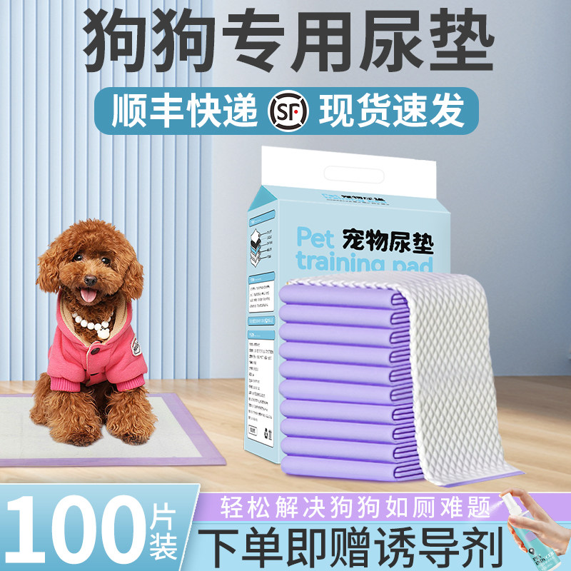 狗狗尿垫加厚除臭吸水隔尿垫幼犬诱导引导小狗定点排便上厕所尿垫,宠物/宠物食品及用品,尿片/尿垫/护垫,淘宝优惠券,粉丝福利购,淘宝优惠卷