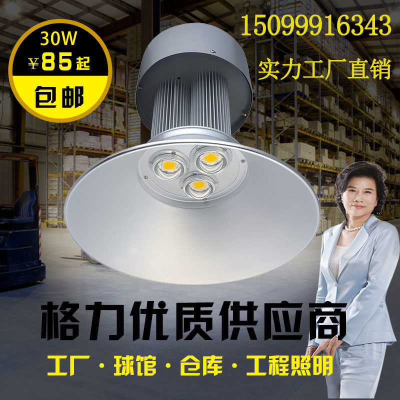 LED工矿灯300W400W厂房工厂车间照明超亮工业吊灯仓库天棚灯罩