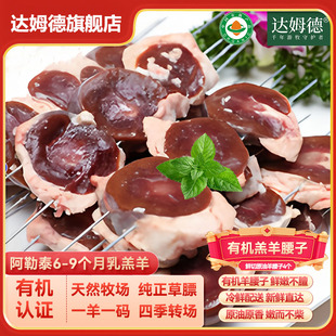 达姆德有机羊腰子 阿勒泰乳羔羊原切油腰子4个装锁鲜羊宝烧烤佳品