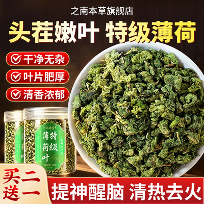特级薄荷叶干凉茶清热降火茶包
