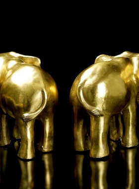 纯铜大象摆件一对吸水象客厅家用装饰品办公室工艺品大象中式