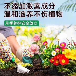 月季花专用花肥水溶肥玫瑰花蔷薇花有机肥料缓释肥复合肥营养液通
