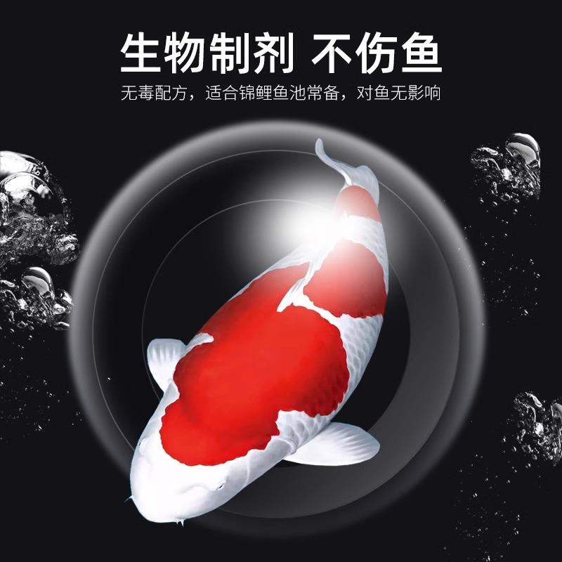 百因美滤材清洁剂清除过滤设备脏东西除水垢清洁过滤器滤材除污垢