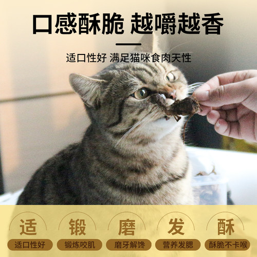 冻干鹌鹑猫零食营养增肥鸡肉粒猫咪零食狗狗小肉干磨牙宠物幼猫粮