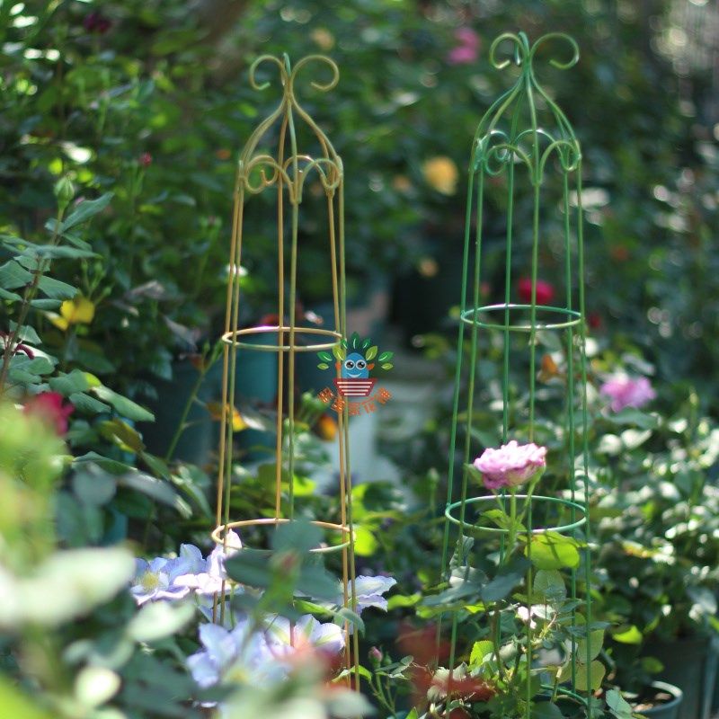 包邮1加仑盆爬藤架铁线莲龟甲龙小型简易花架 铁艺做旧阳台盆栽架