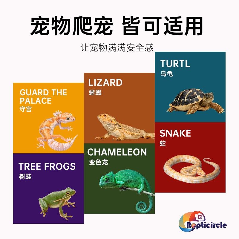 爬宠食盆水盆蜥蜴角蛙寄居蟹泡澡盆树蛙仿岩饲养箱造景饮水盆装饰,宠物/宠物食品及用品,爬宠清洁及日用品,淘宝优惠券,粉丝福利购,淘宝优惠卷