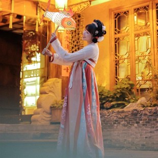 中国科举博物馆文创秦淮花灯非遗鱼灯新年春节灯笼古风汉服