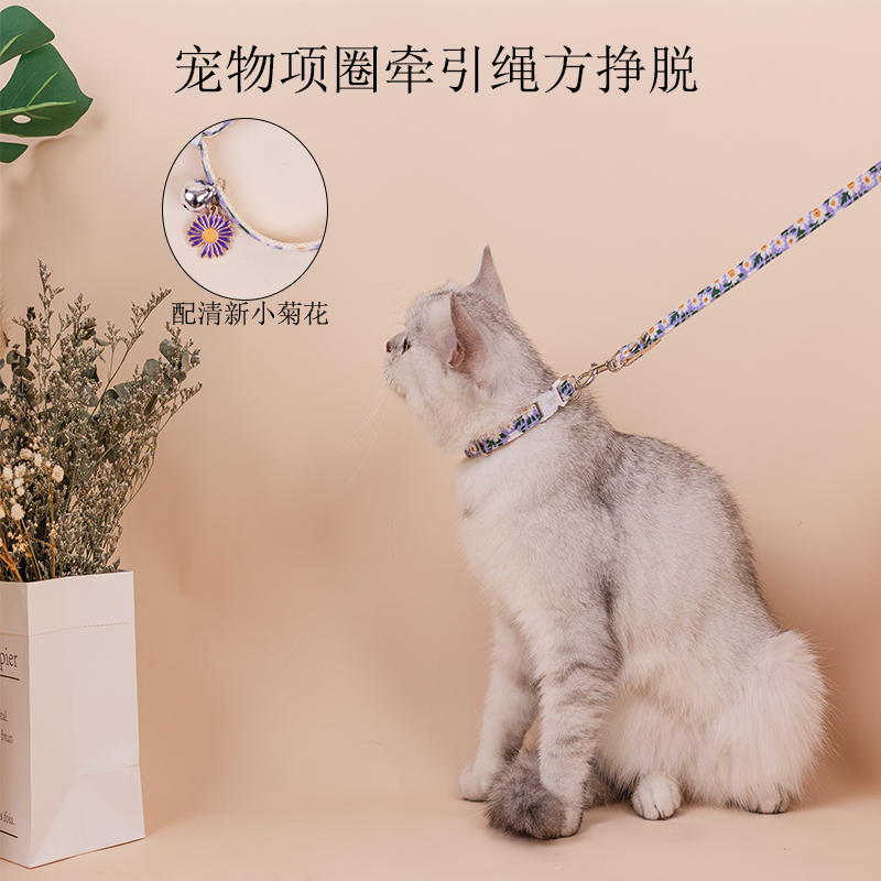 狗狗幼猫咪幼犬牵引绳套脖铃铛牵引绳小型玩具茶杯犬迷你遛狗猫绳