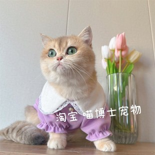 狗子博美玛尔济斯衣服宠物猫咪甜美娃娃衫 小可爱娃娃领春秋款 上衣