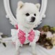 私宠手作双色宠物公主裙泰迪比熊博美狗狗连身裙猫咪可爱风春夏款