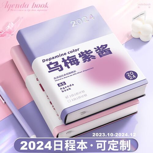 2024年日程本计划表新款笔记本子工作日志23年记事日记日历一日一