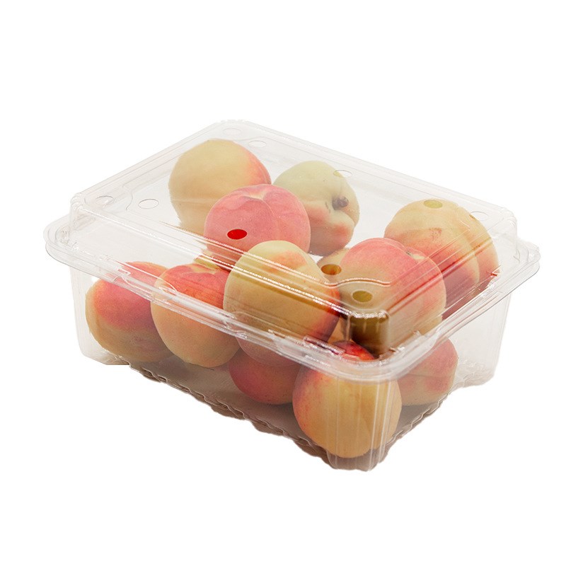 水果盒子一次性带盖打包装盒蔬菜生鲜打包盒外出沙拉吸塑料盒
