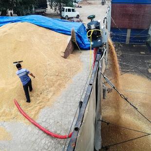 家用小型抽粮机 380V电机吸粮机 小麦玉米稻谷车载软管绞龙送粮机