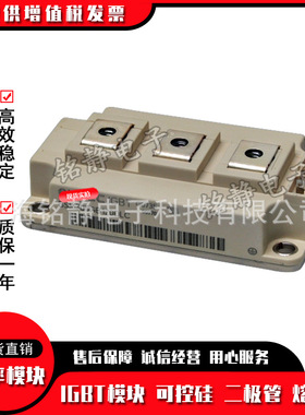 功率IGBT模块 BSM150GB60DN2 BSM200GB60DN2 BSM300GB60DN2