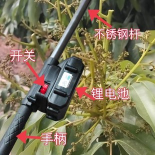 疏花机荔枝龙眼不锈钢伸宿杆自带锂电池剪花机打尖器打花机