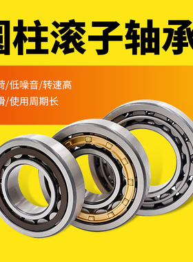 圆柱滚子轴承NJ413/NJ414/NJ415/NJ416/NJ417/NJ418/NJ419/NJ420