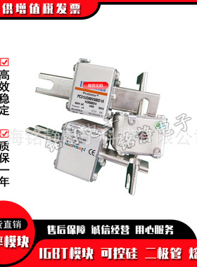 全新现货PC31UD69V400D1A  L300022熔断器