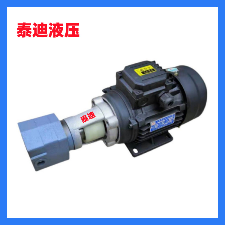 BB-B4JZ BB-B6NJZ摆线齿轮泵电机组