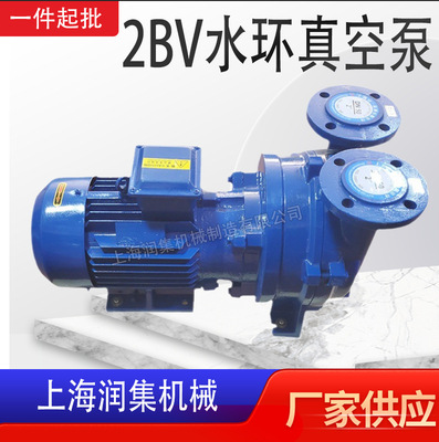 2BV-2060-2061-5110-5111-5121-5131-5161铸铁不锈钢水环式真空泵