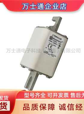 170M4764170M4765170M4766170M4767170M4768170M4769熔断器原装