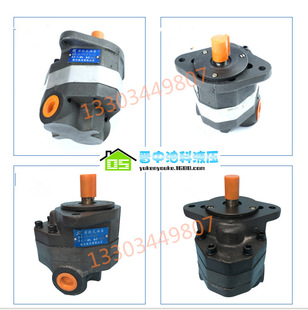 FA40 齿轮泵 卧式 载机专用液压油泵 榆次液压齿轮泵 铸铁装