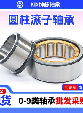 零售圆柱滚子轴承NJ220EM NJ222EM NJ224EM NJ226EM水泵用轴承