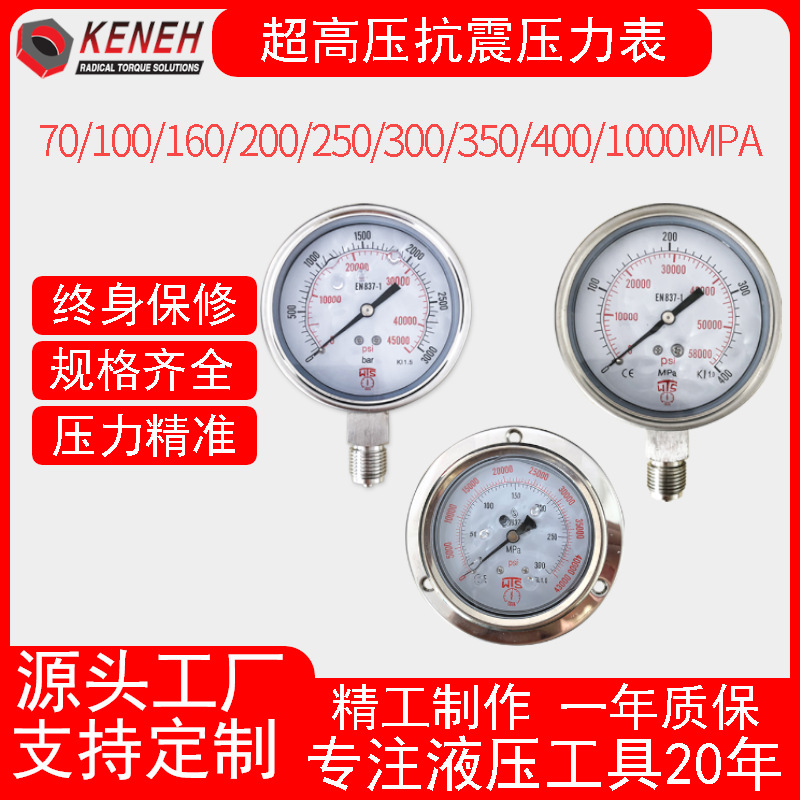 厂家直销NZJ系列工业硅油填充防潮不锈钢耐震压力表0-400Mpa