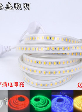 led灯带5630贴片220V高压灯条客厅灯吊顶户外防水软灯条彩色光带
