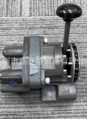 8P-1S、R431003806 八位换档阀 IA480、P55556-3