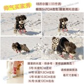 宝眷宠物袜子狗狗腿套防水防雨雪防脏脚结实弹性跑不掉可机洗泰迪