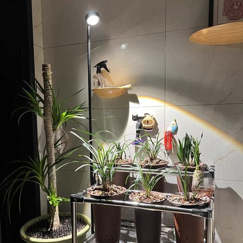 迈睿星植物补光灯仿太阳全光谱室内阳台落地植物专用生长补光灯