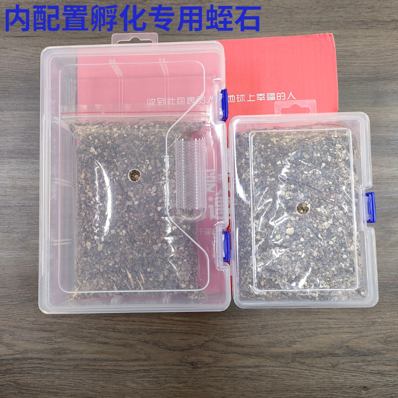 爬宠孵化盒守宫变色龙鬃狮玉米宠物爬虫乌龟蛋蜥蜴孵化器金黄蛭石