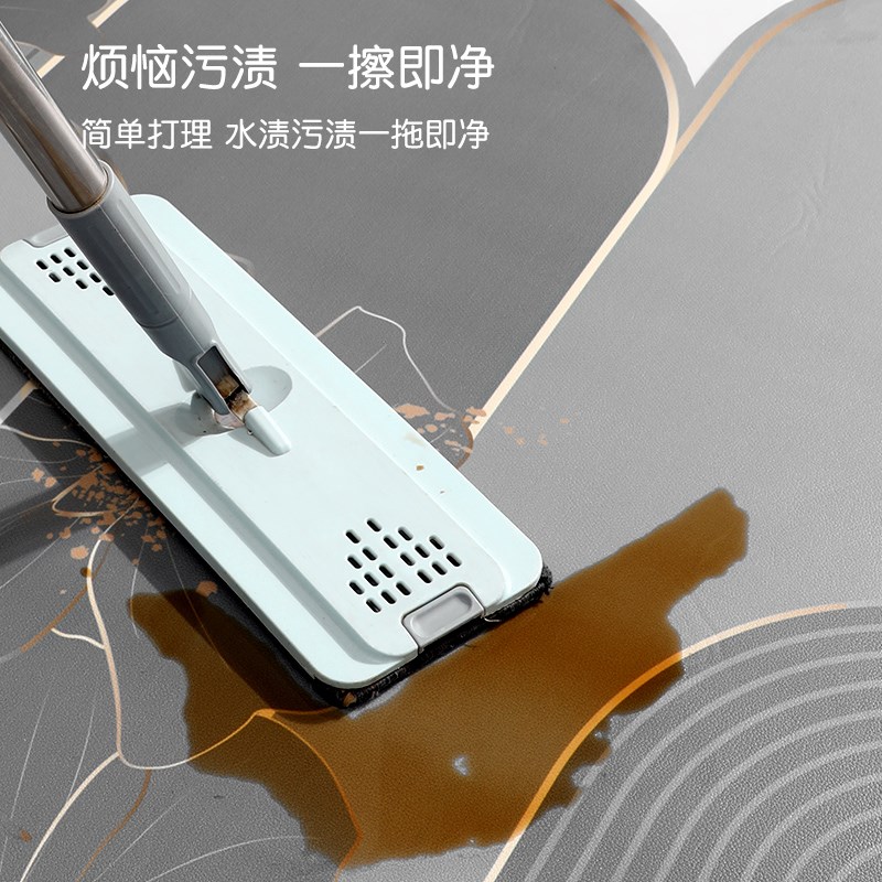 2024新款入户地垫可擦免洗进门口脚垫家用玄关门垫皮革可裁剪地毯