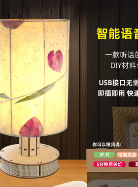 diy手工干花小夜灯 押花台灯压花植物声控床头灯沙龙团建活动材料