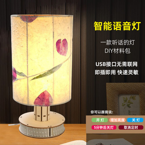 diy手工干花小夜灯 押花台灯压花植物声控床头灯沙龙团建活动材料