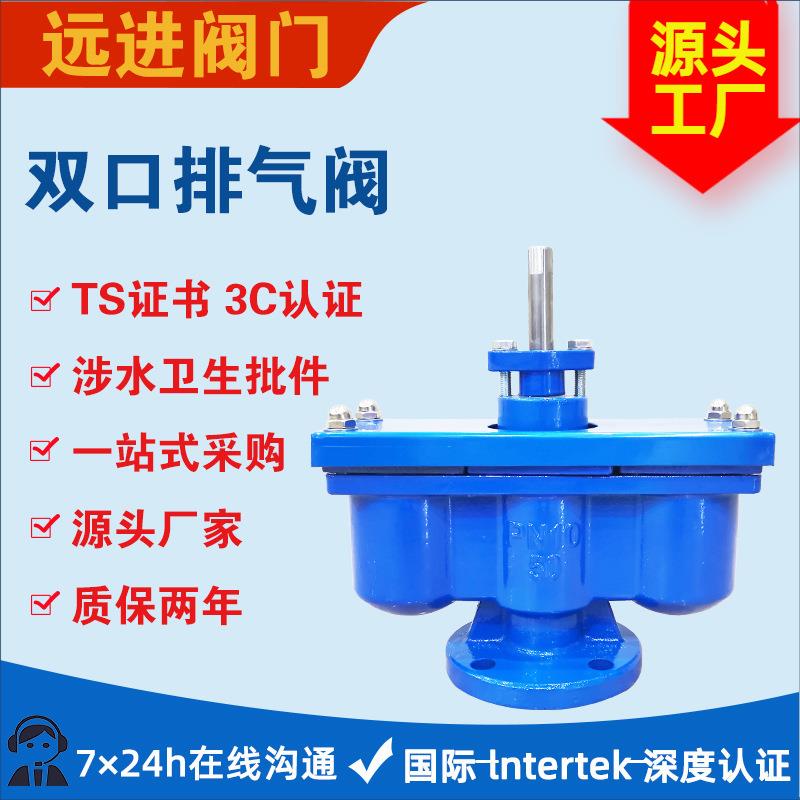 铸铁双口排气阀德标PN16双口排气阀远进
