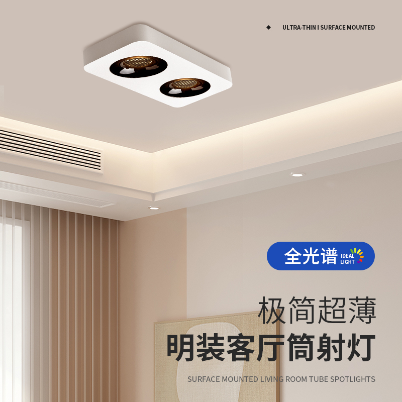 超薄明装单头双头三n头免悬吊式天花板无主灯简约客厅卧室吸顶防