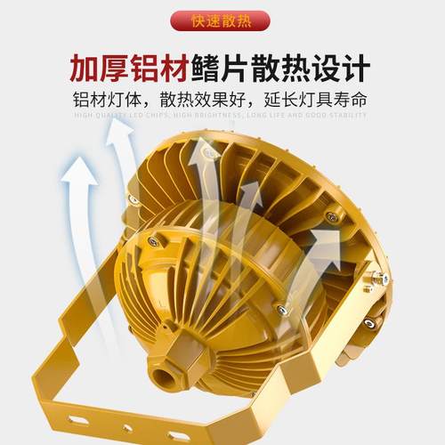 LED防爆灯加油站罩棚仓库车间化工厂圆形工矿灯工业防腐投泛光灯