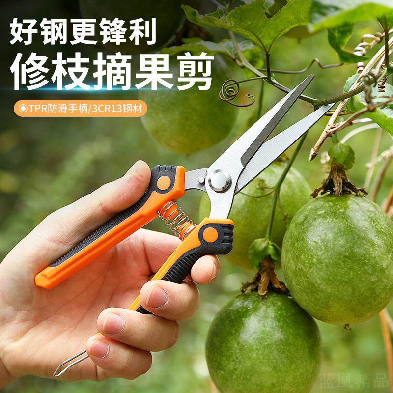 园林不锈钢摘果修枝剪刀