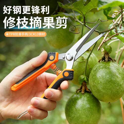 园林不锈钢摘果修枝剪刀