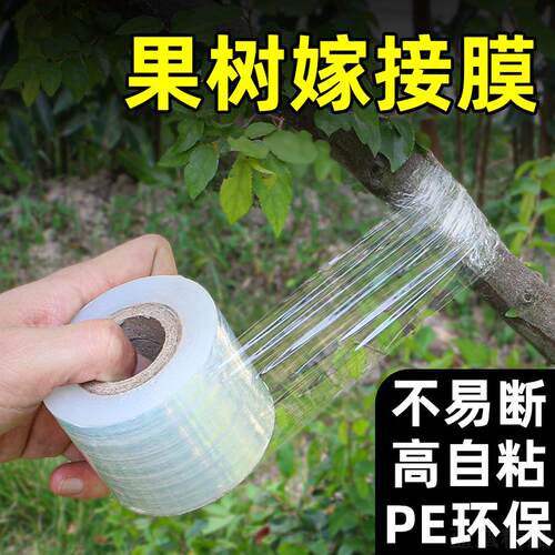 果树嫁接专用自粘缠绕薄膜